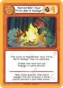Remember Your First Merit Badge? - Princess Felicity