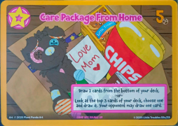 Care Package From Home (Full) - Plant Panda Art