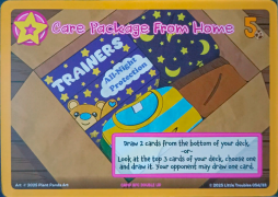 Care Package From Home (Full) - Plant Panda Art